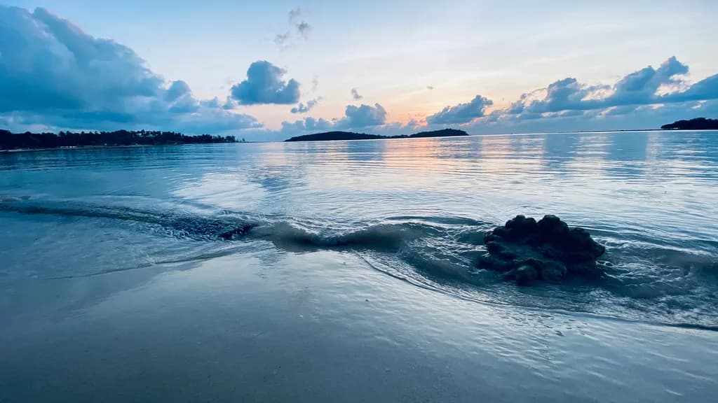 Tide's Embrace