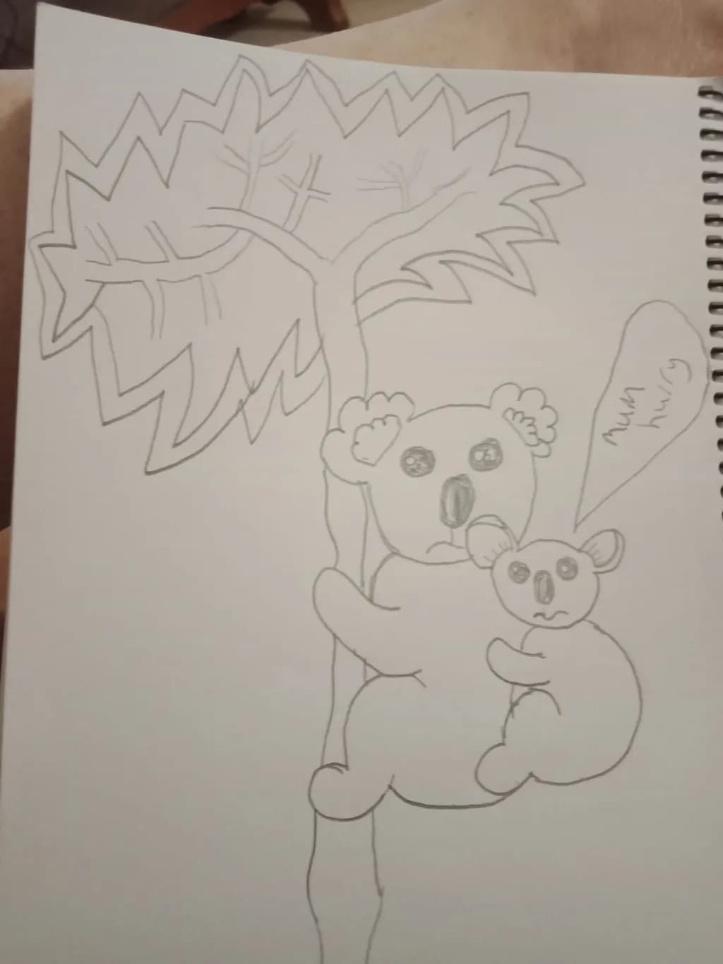 Koala Embrace