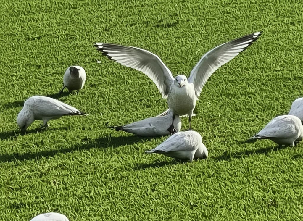 Wingspan Amongst Stillness