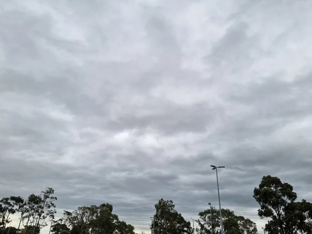 Overcast Vigil