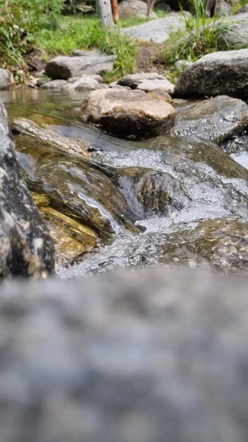Streamside Flow