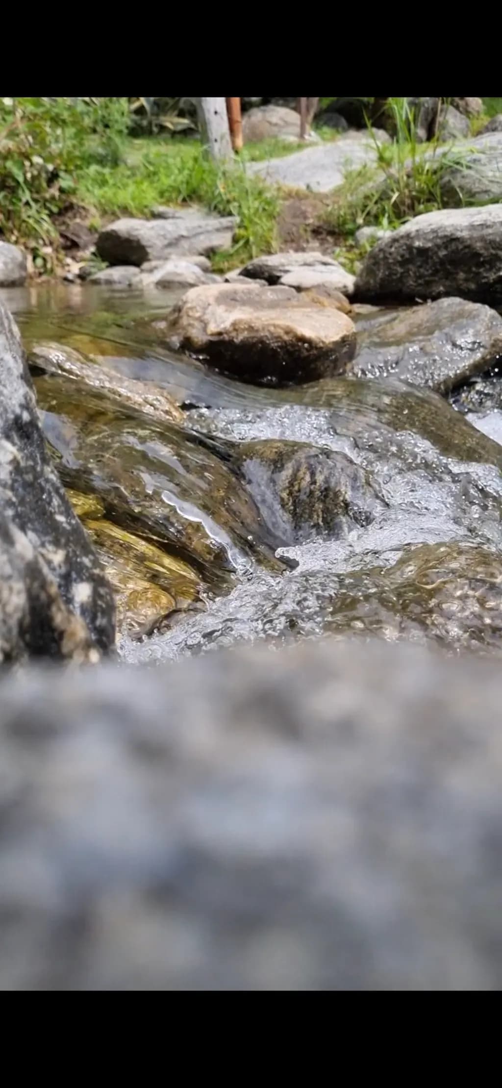 Flowing Stream