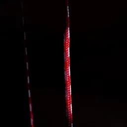 Red Braided Rope