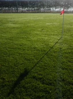 Sunlit Football Pitch
