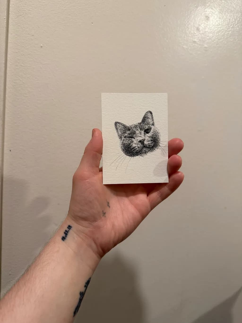 Dotwork Cat Wink