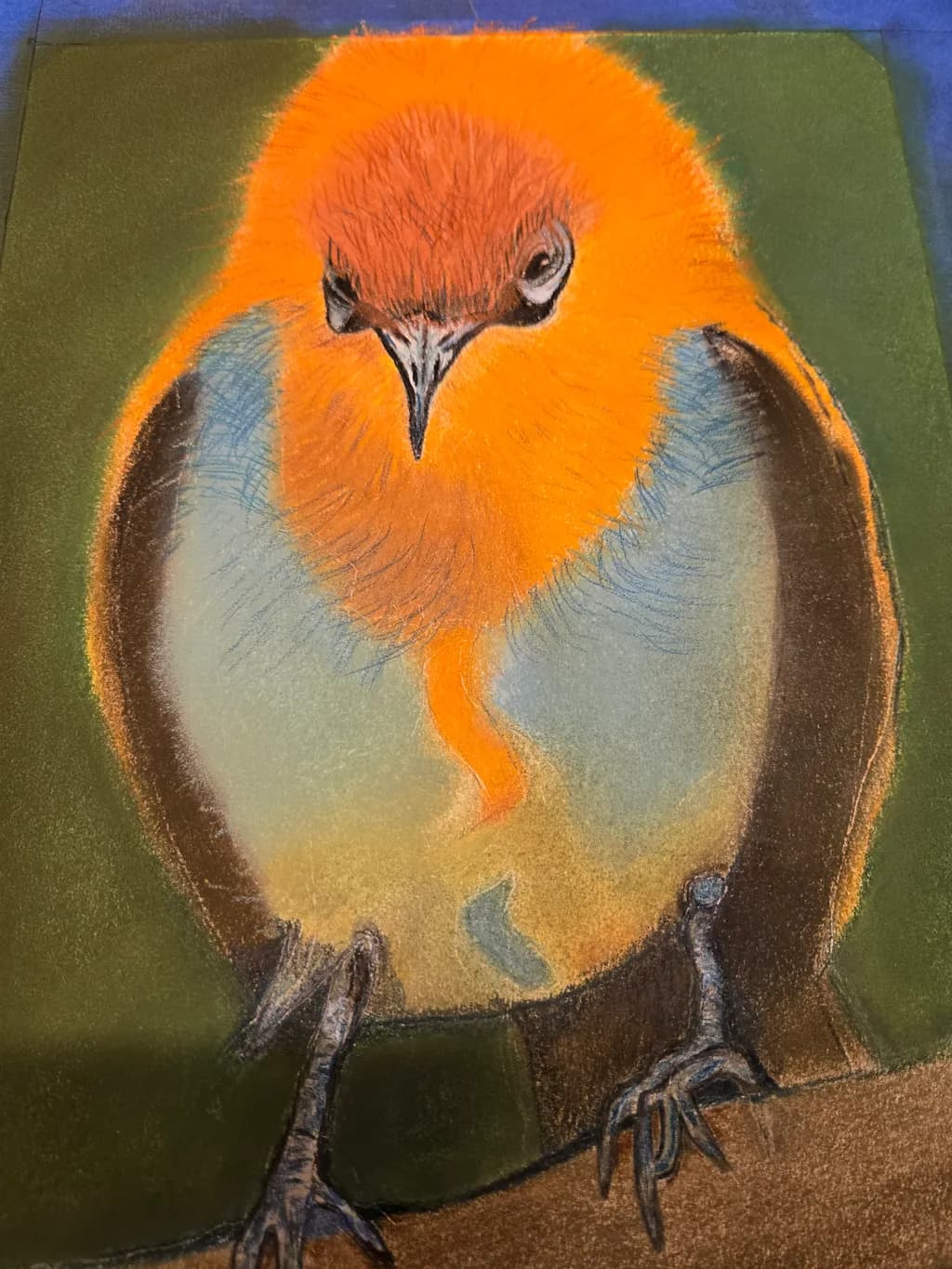 Bold Orange Bird