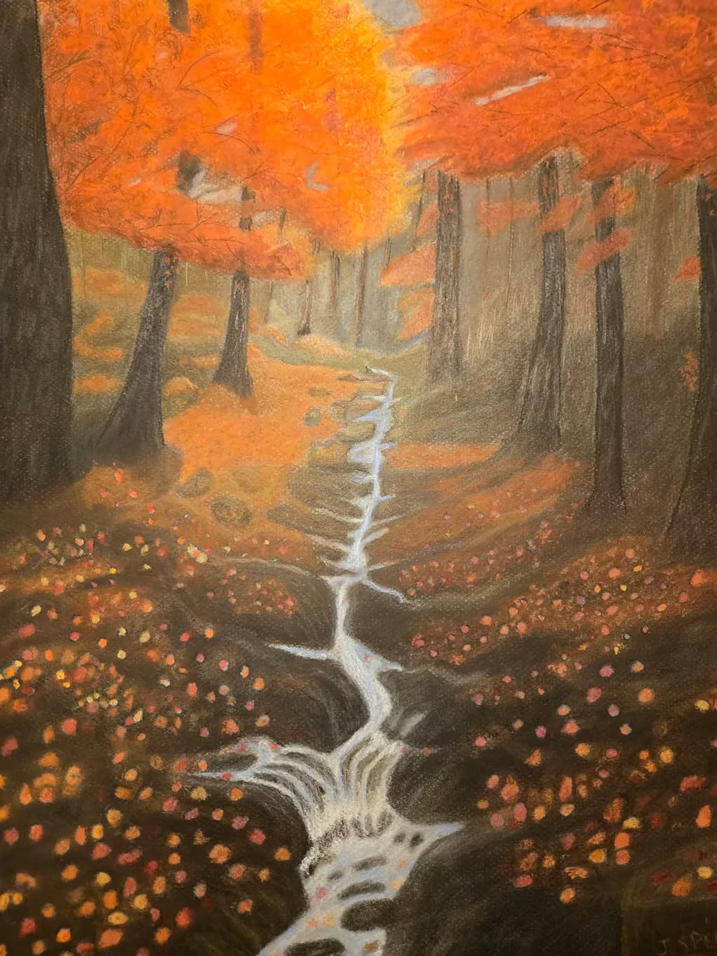 Autumn Forest Stream