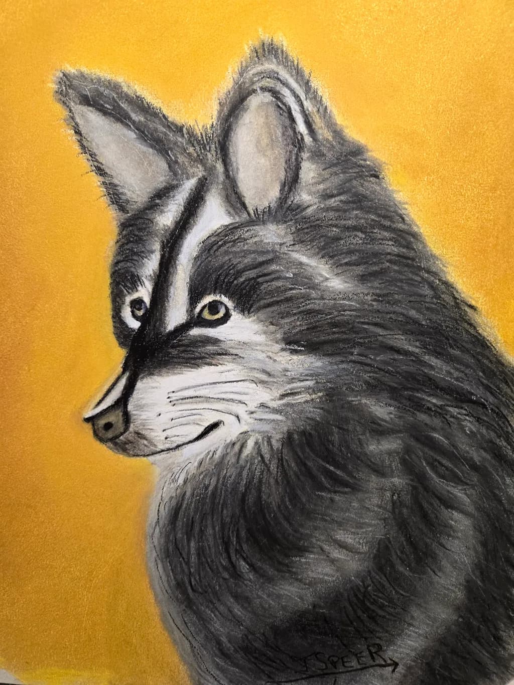 Gray Wolf Portrait