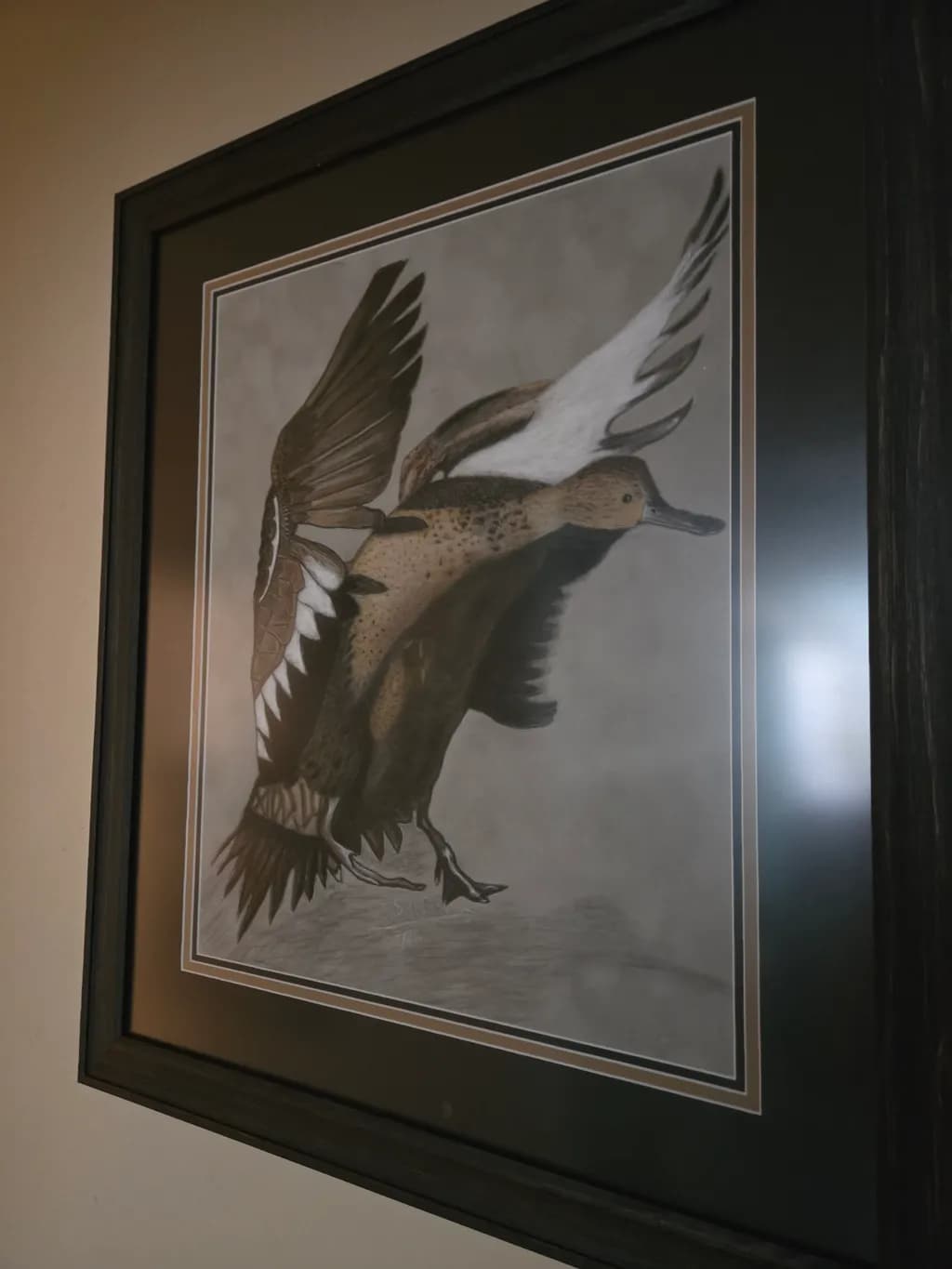 Wings in Motion