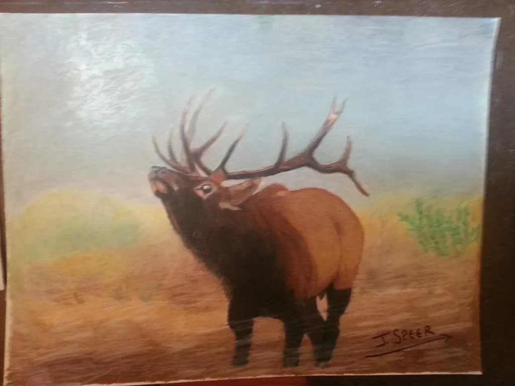 Elk in Fog