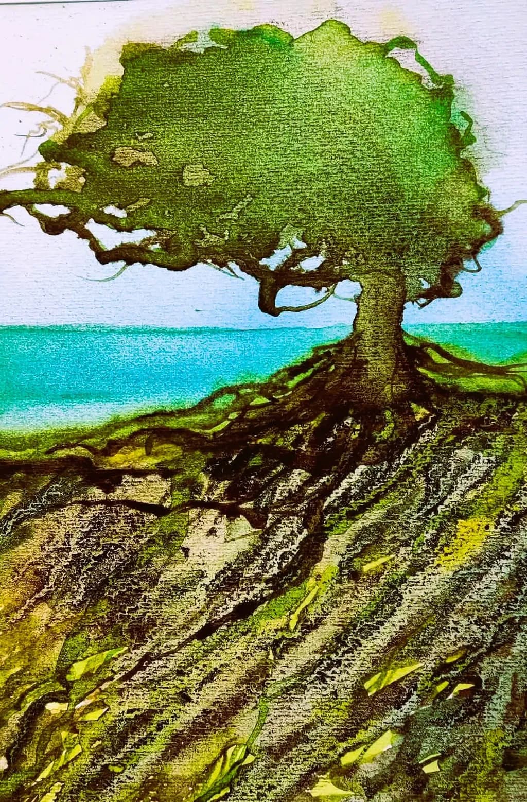 Coastal Roots