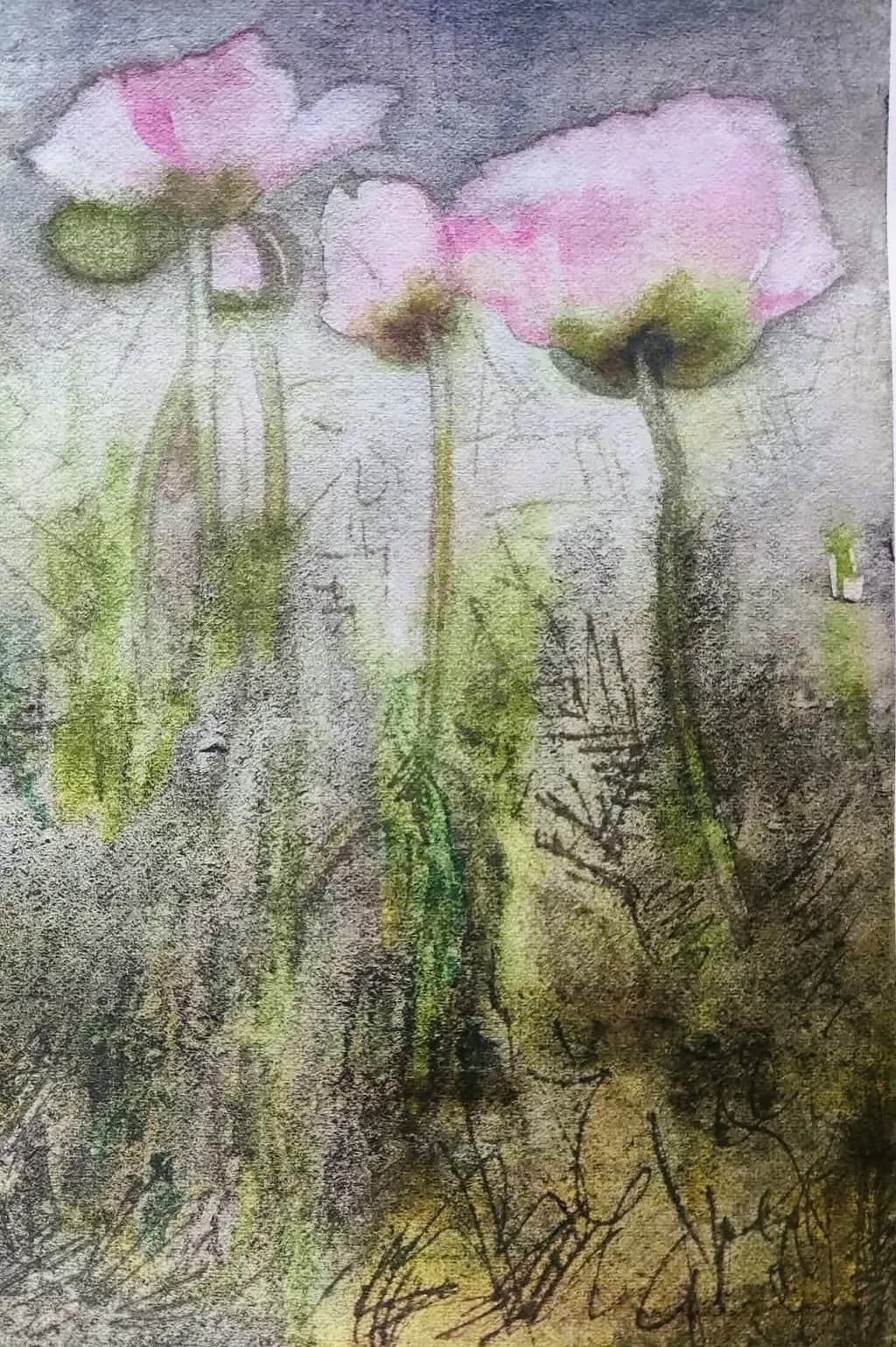 Fading Blooms