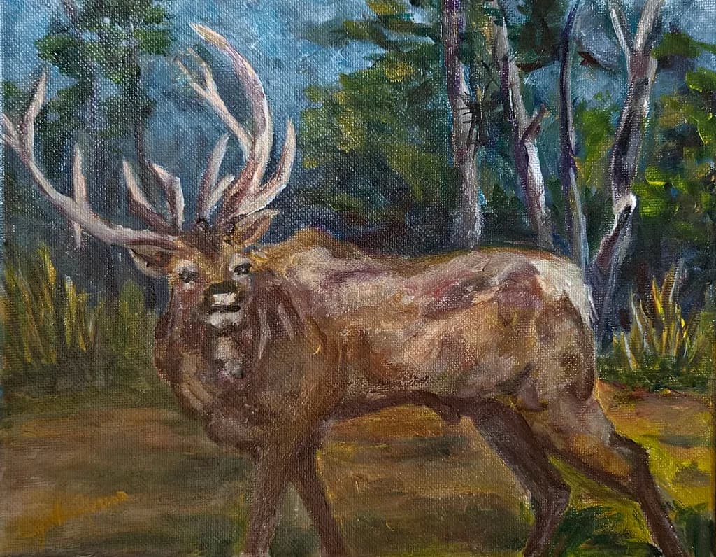 Stag in the Forest