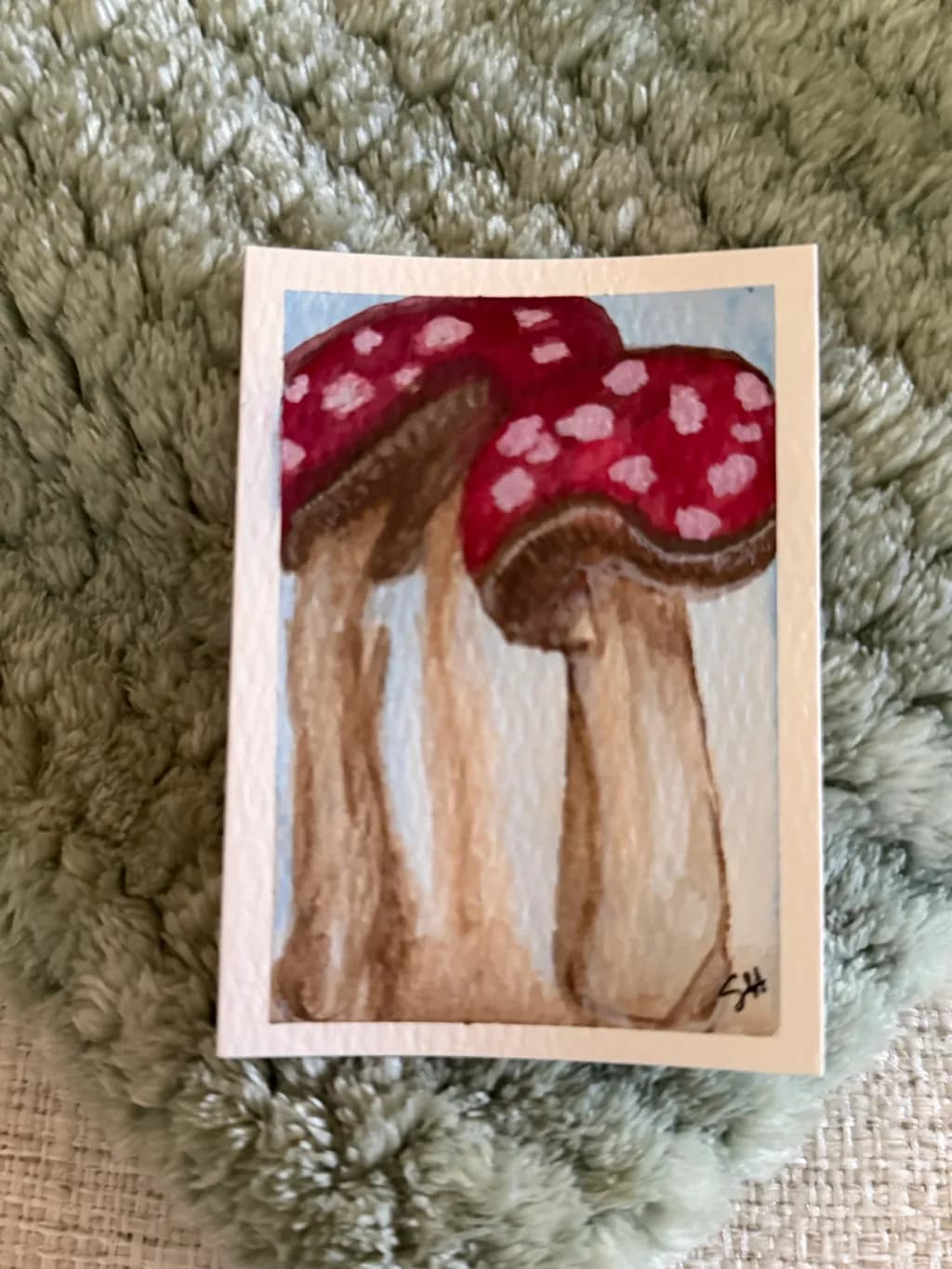 Twin Toadstools