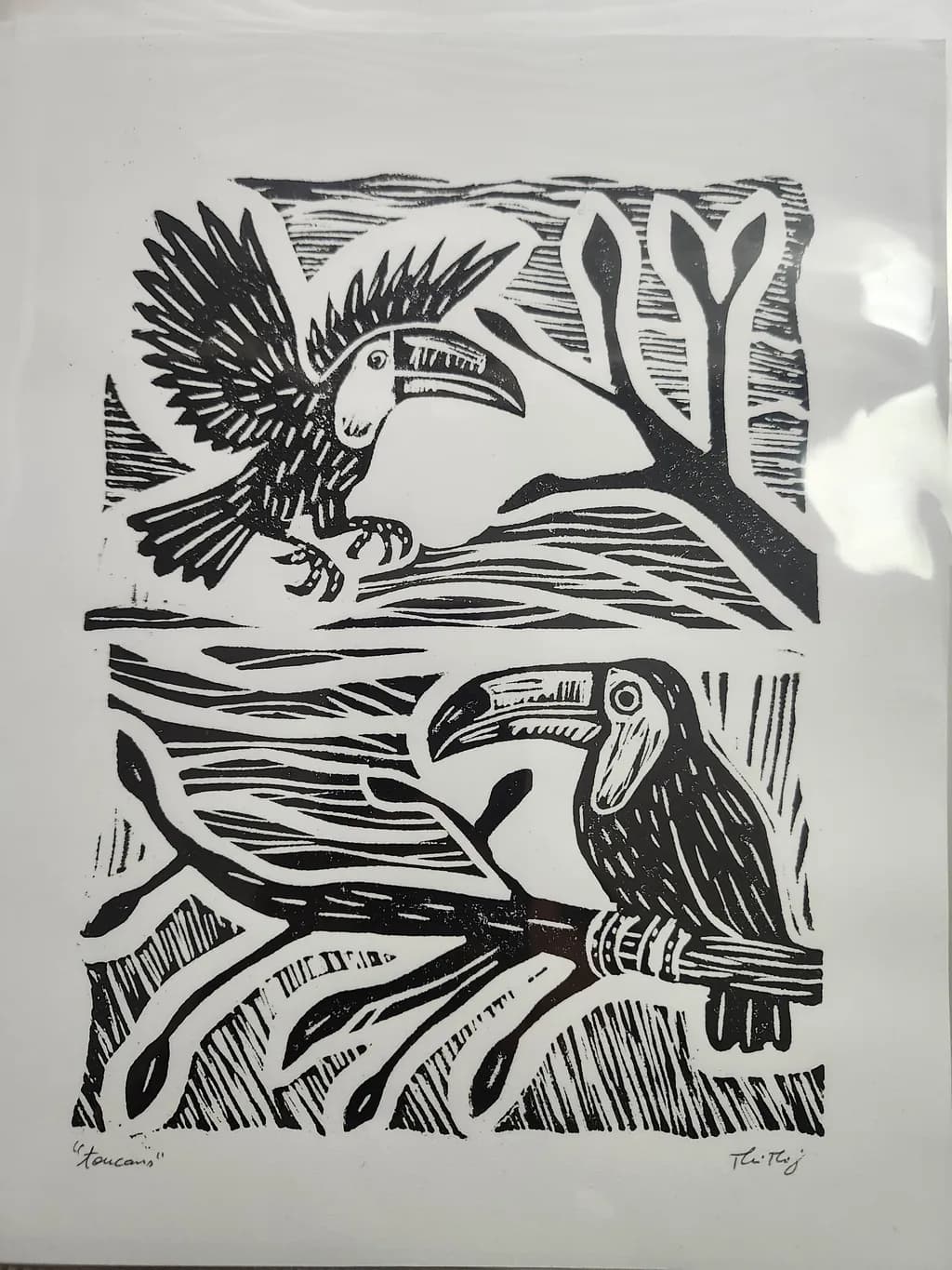 Toucans in Contrast