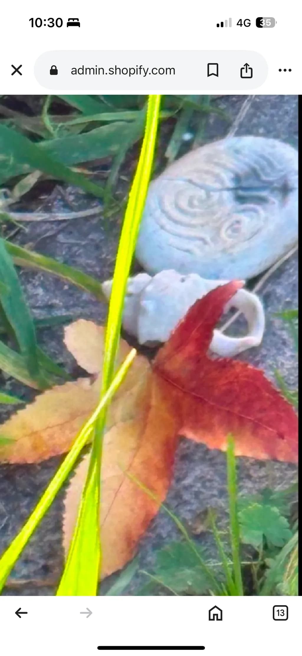 Autumn Relics