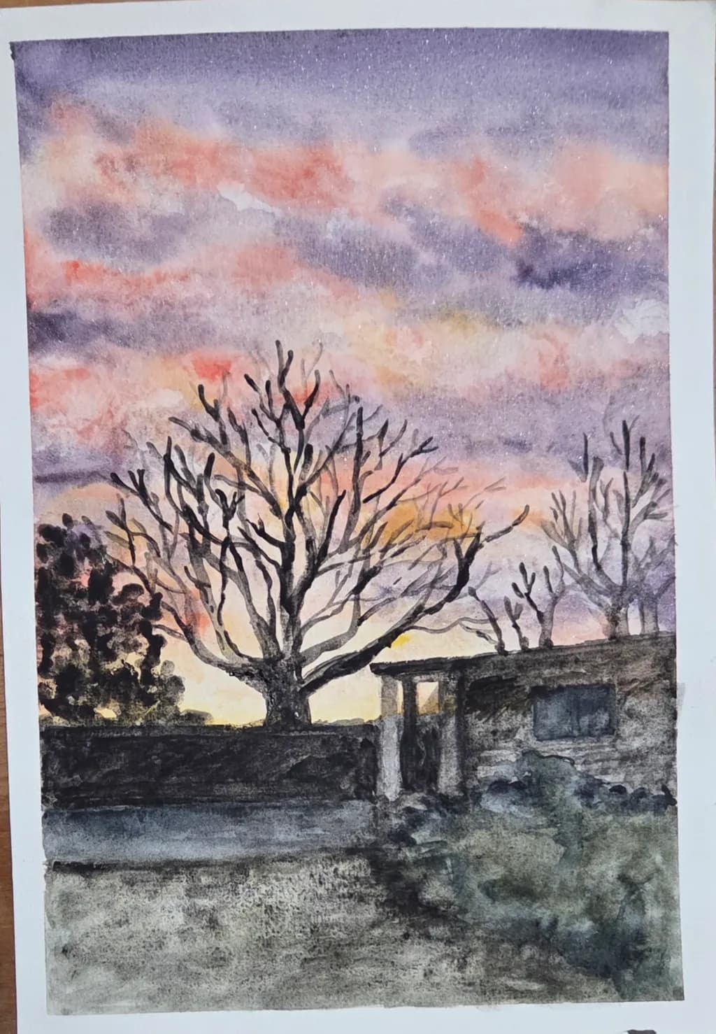 Twilight Silhouettes