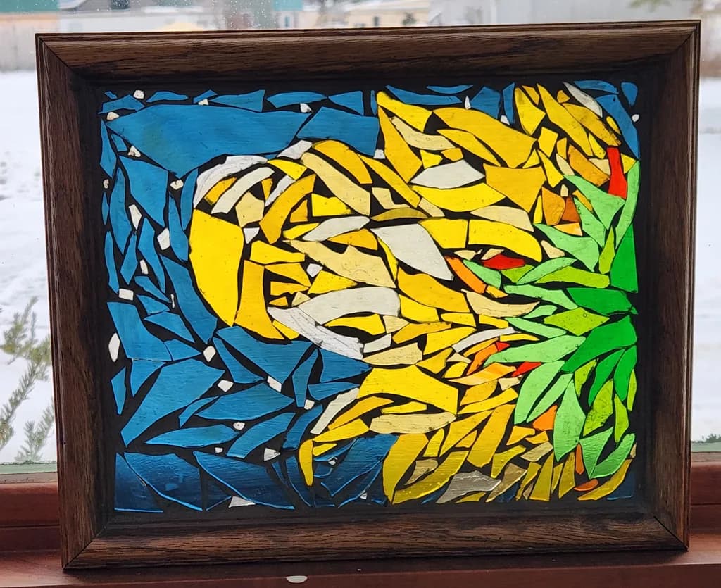 Fragmented Bloom