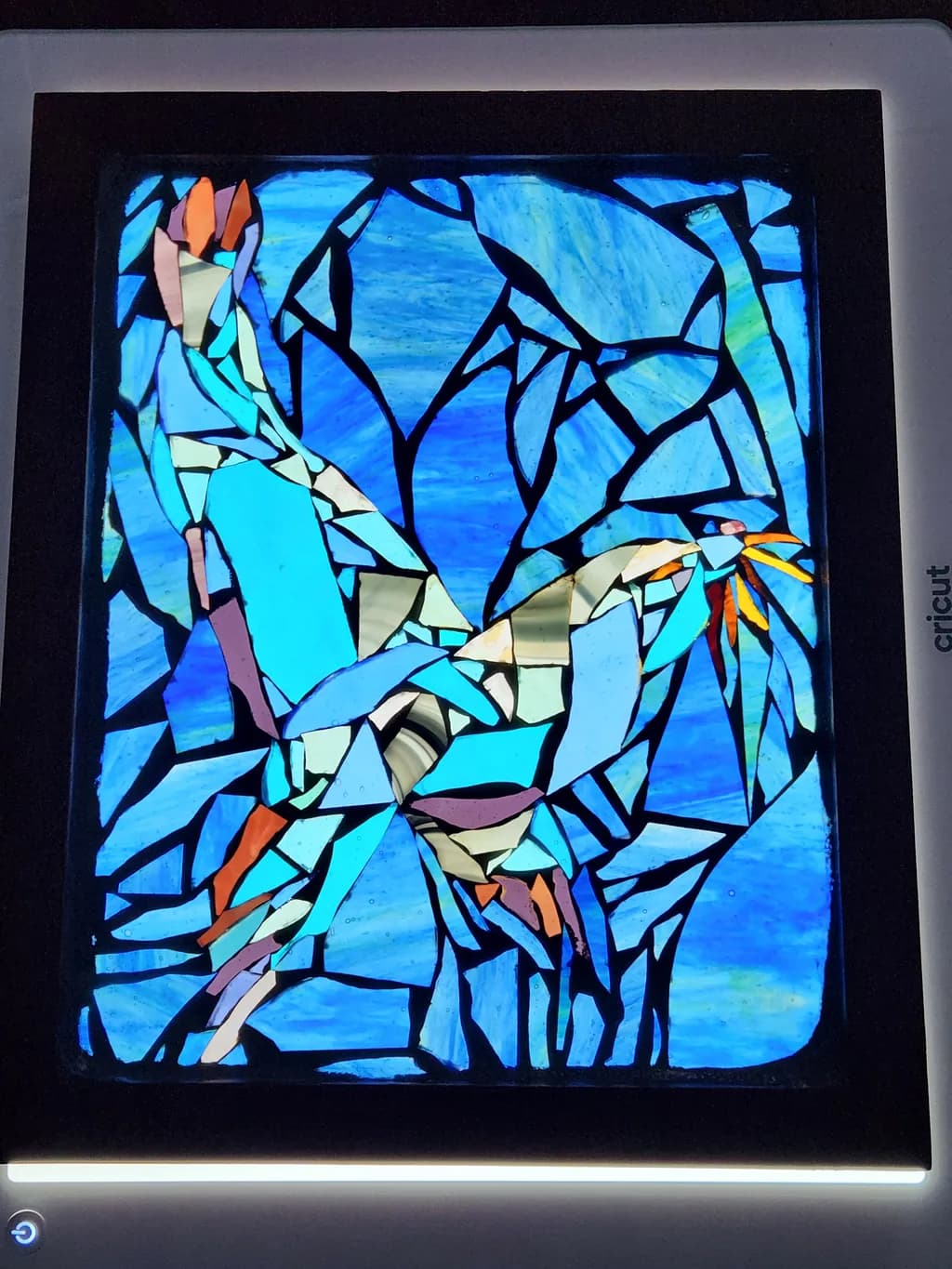 Fragmented Flight