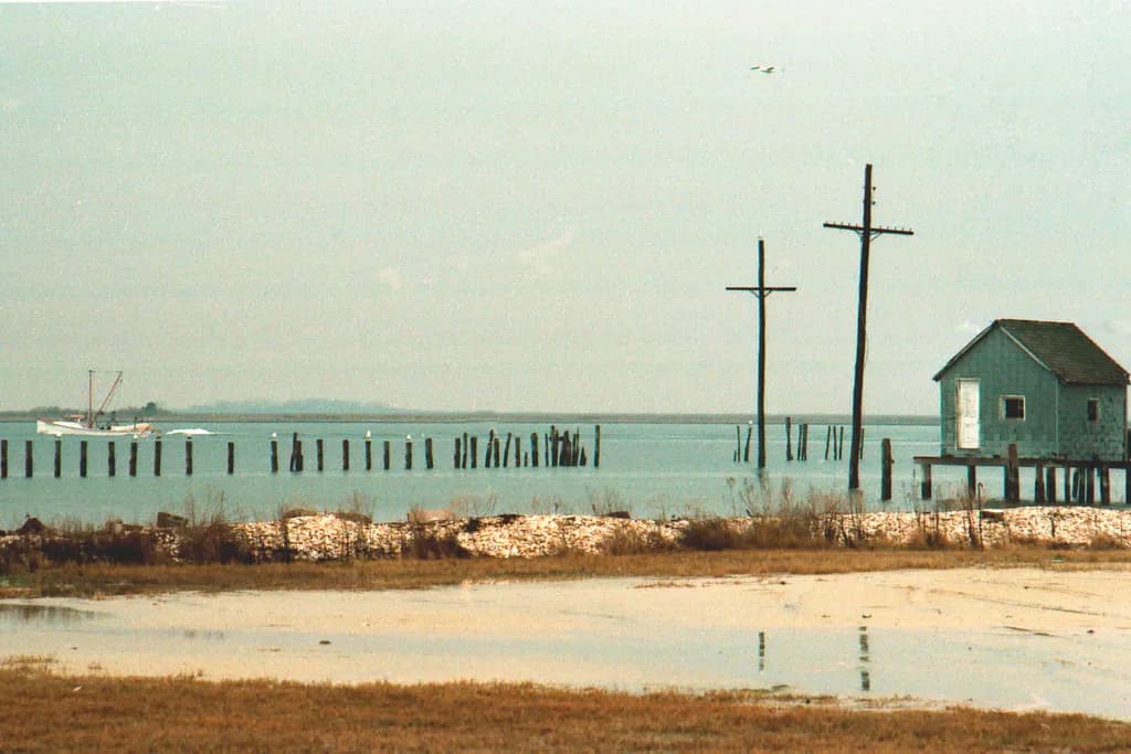 Eastern Shore Waterscape