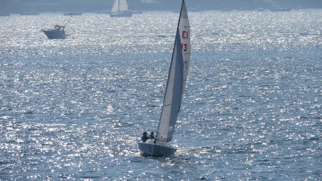 Newport Sailboats