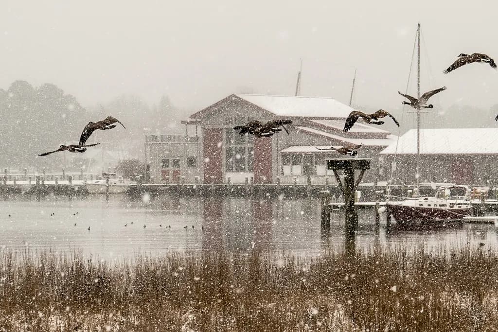 St Michaels Snowfall