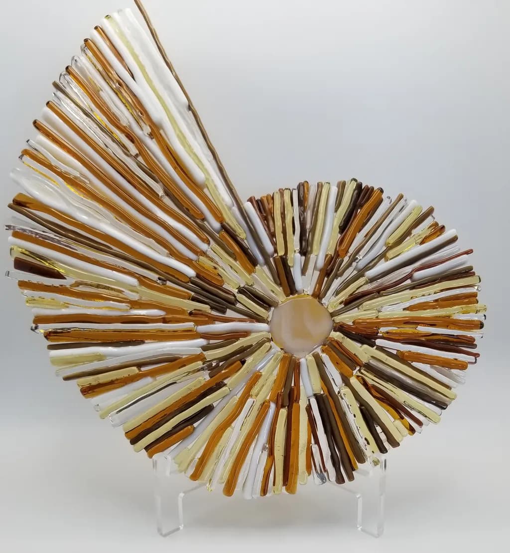Radiant Spiral Shell