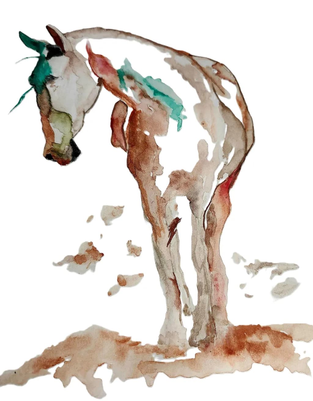 Horse Study