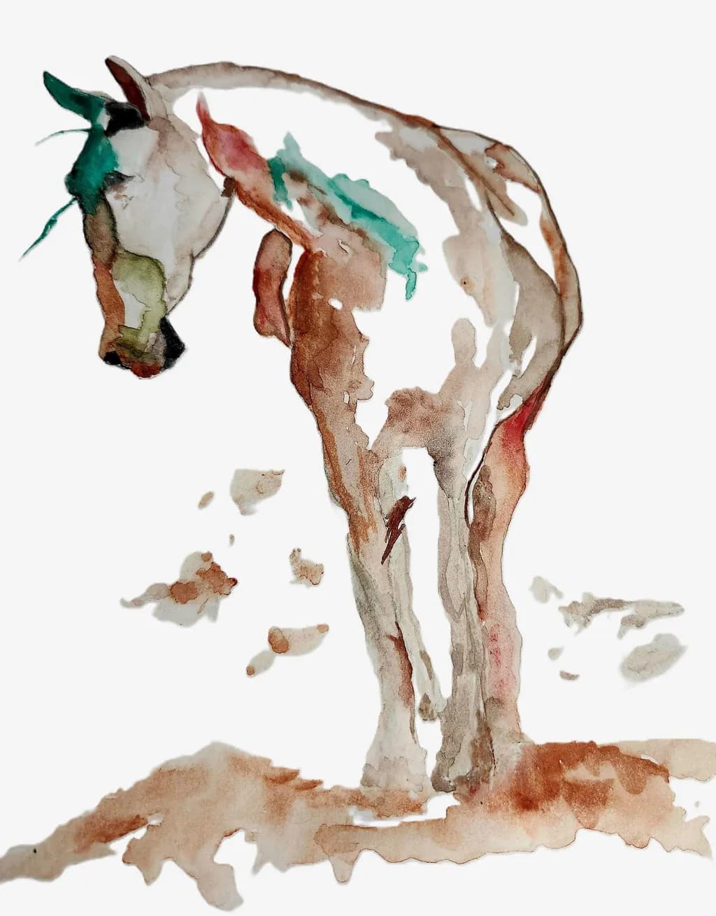 Horse Study