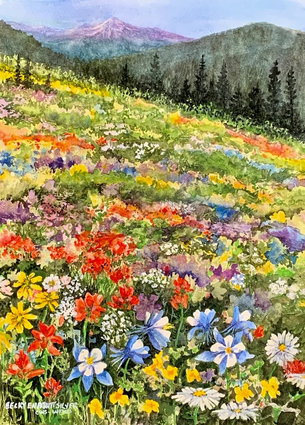 Mountain Medicine