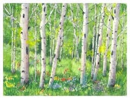 Summer Symphony