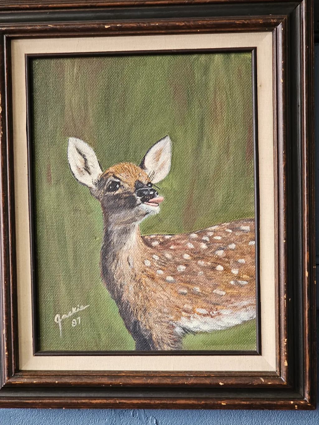 Playful Fawn