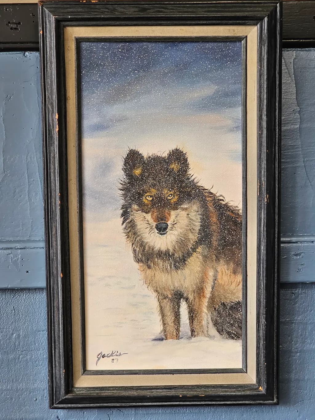 Snowbound Watcher