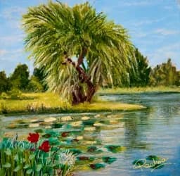 Willow Pond Garden