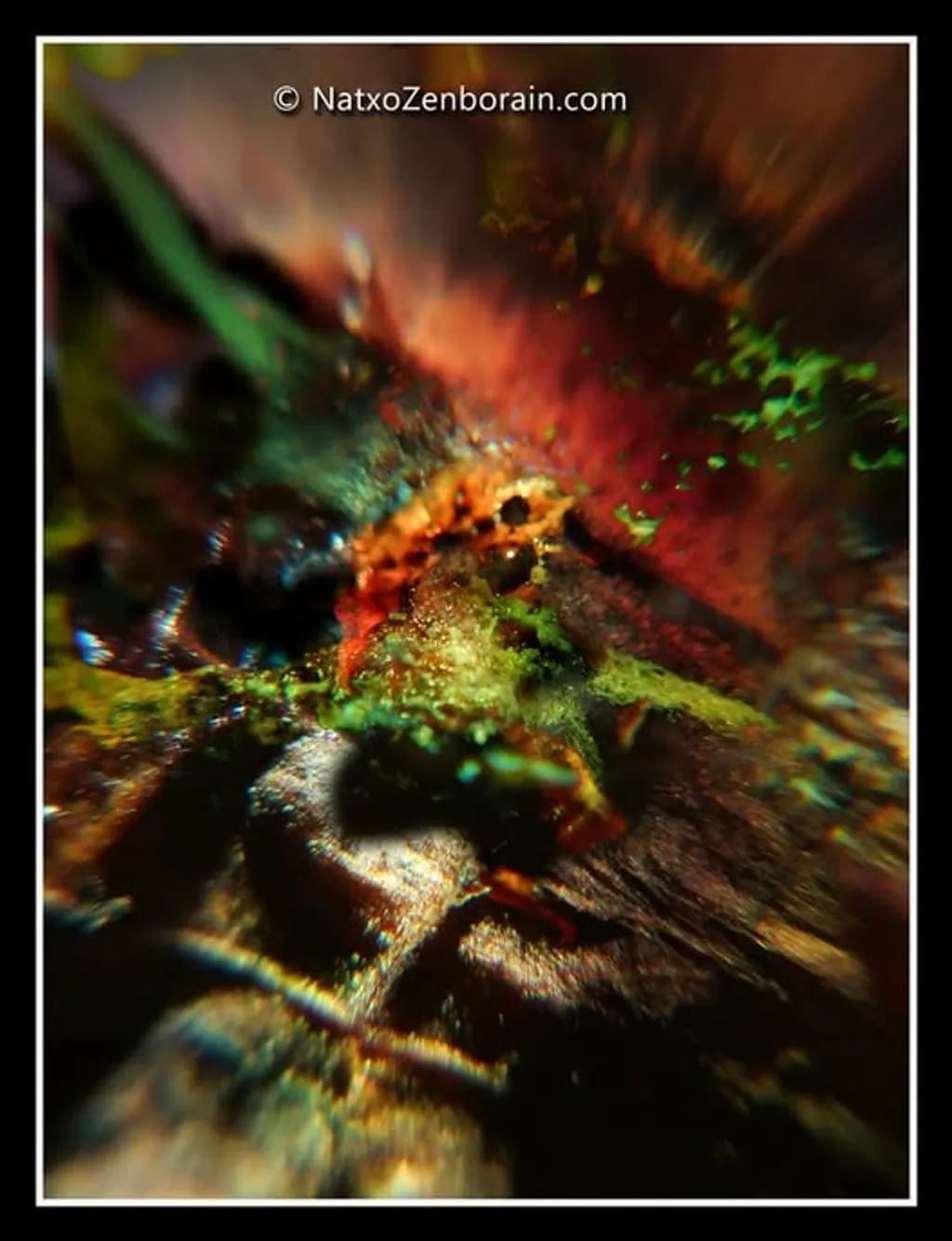 Abstract Color Burst