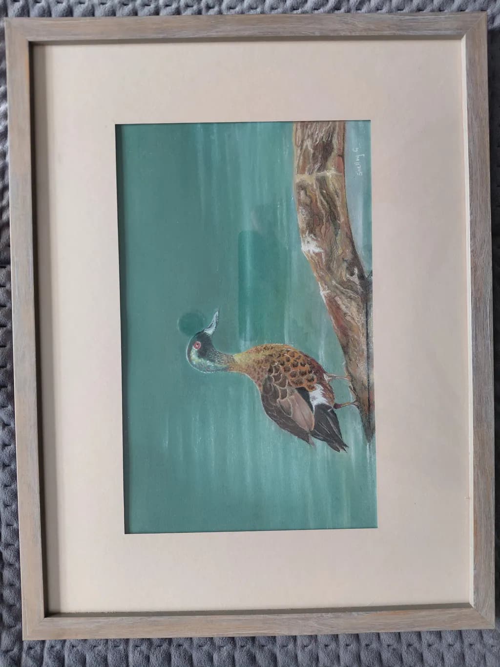 Lone Duck by the Log
