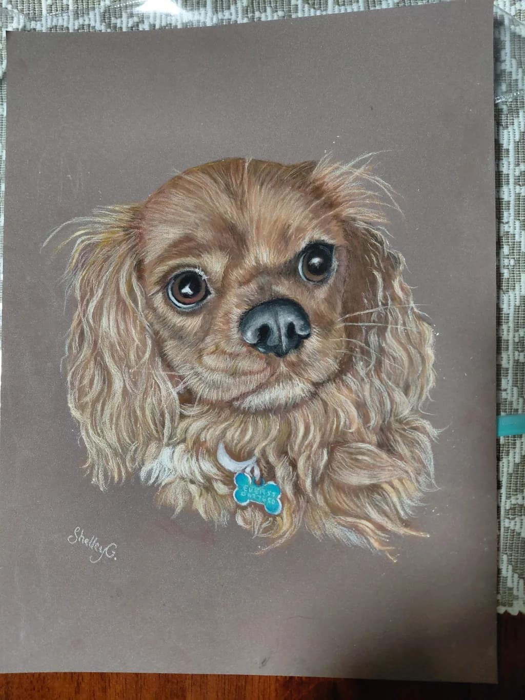 Curious Cavalier