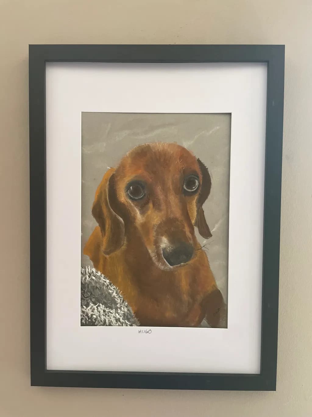 Dog Portrait