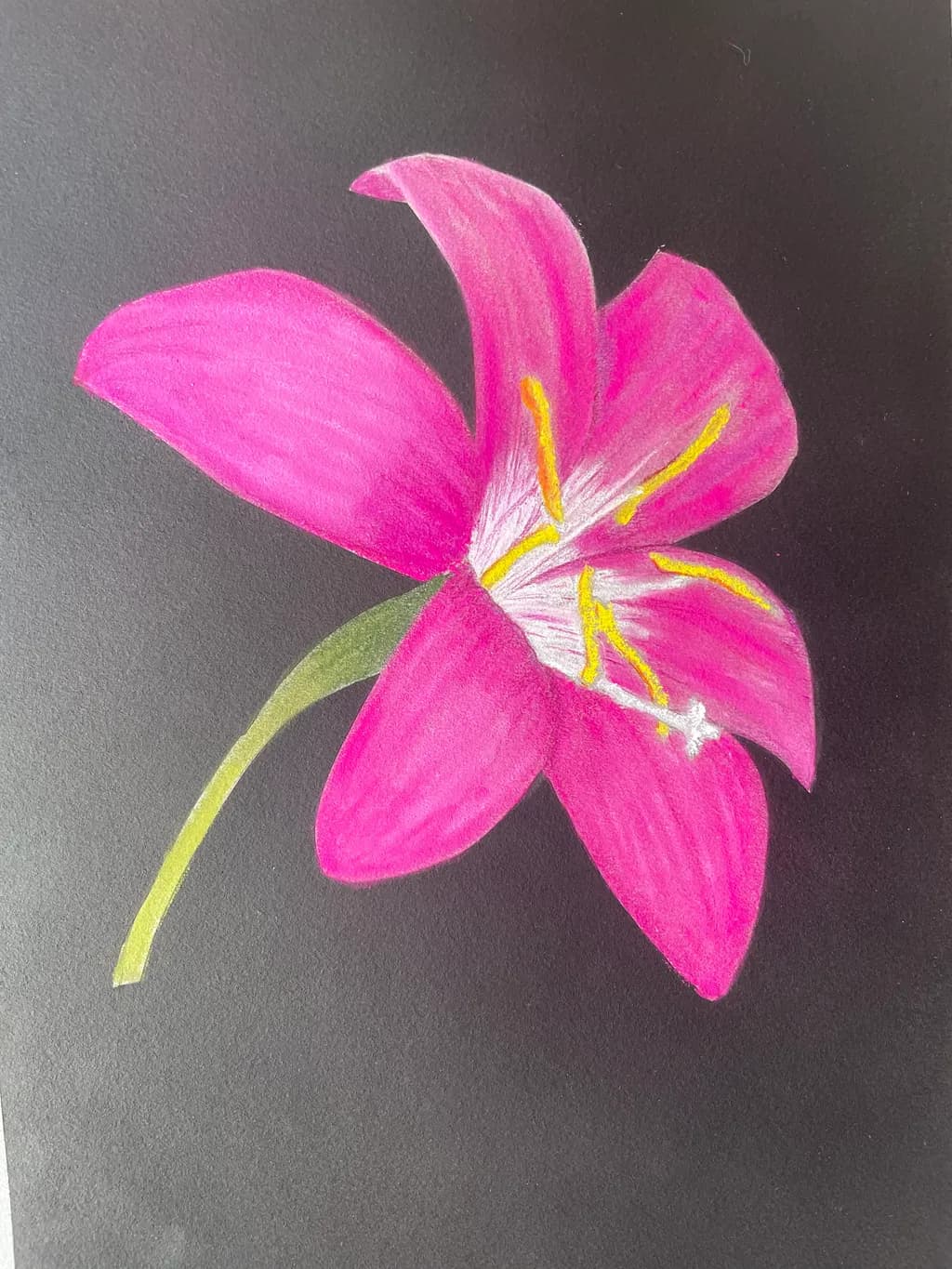 Pink Flower Stem