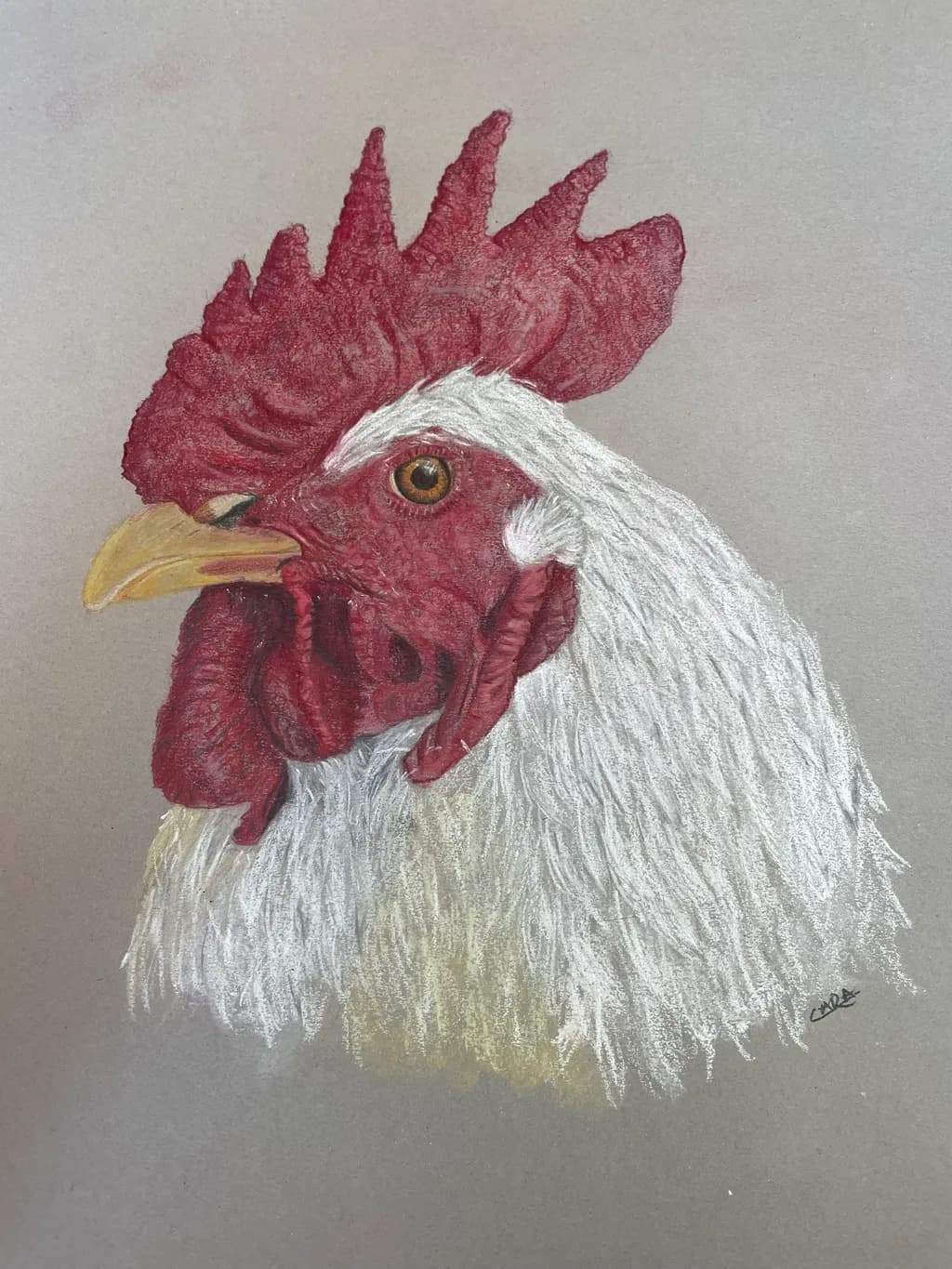 Rooster Portrait