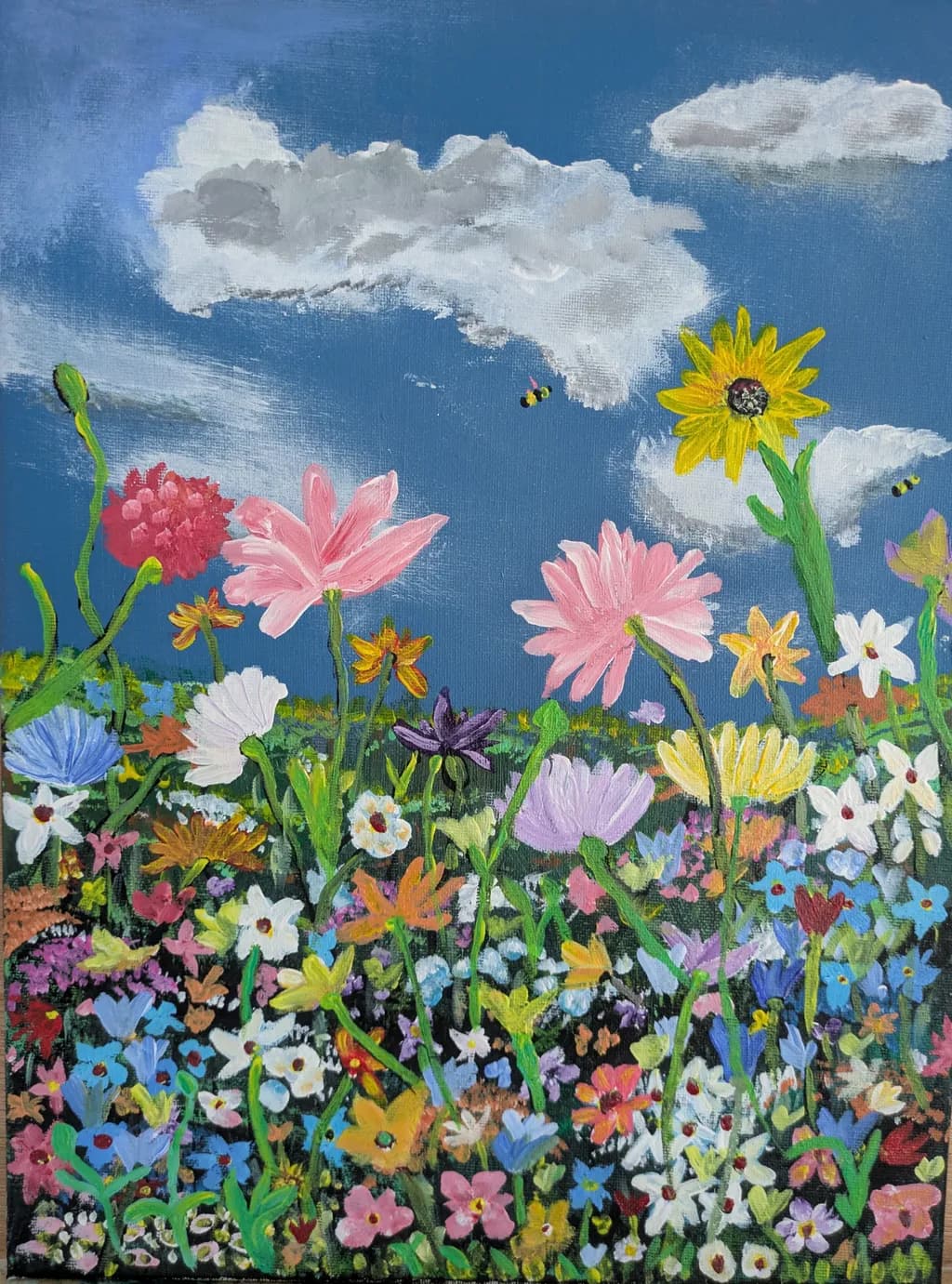 Wildflower Meadow