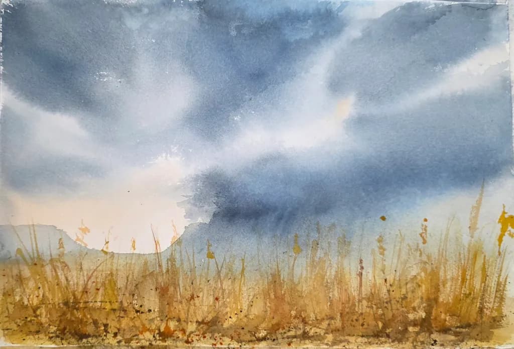 Storm Over Grassland
