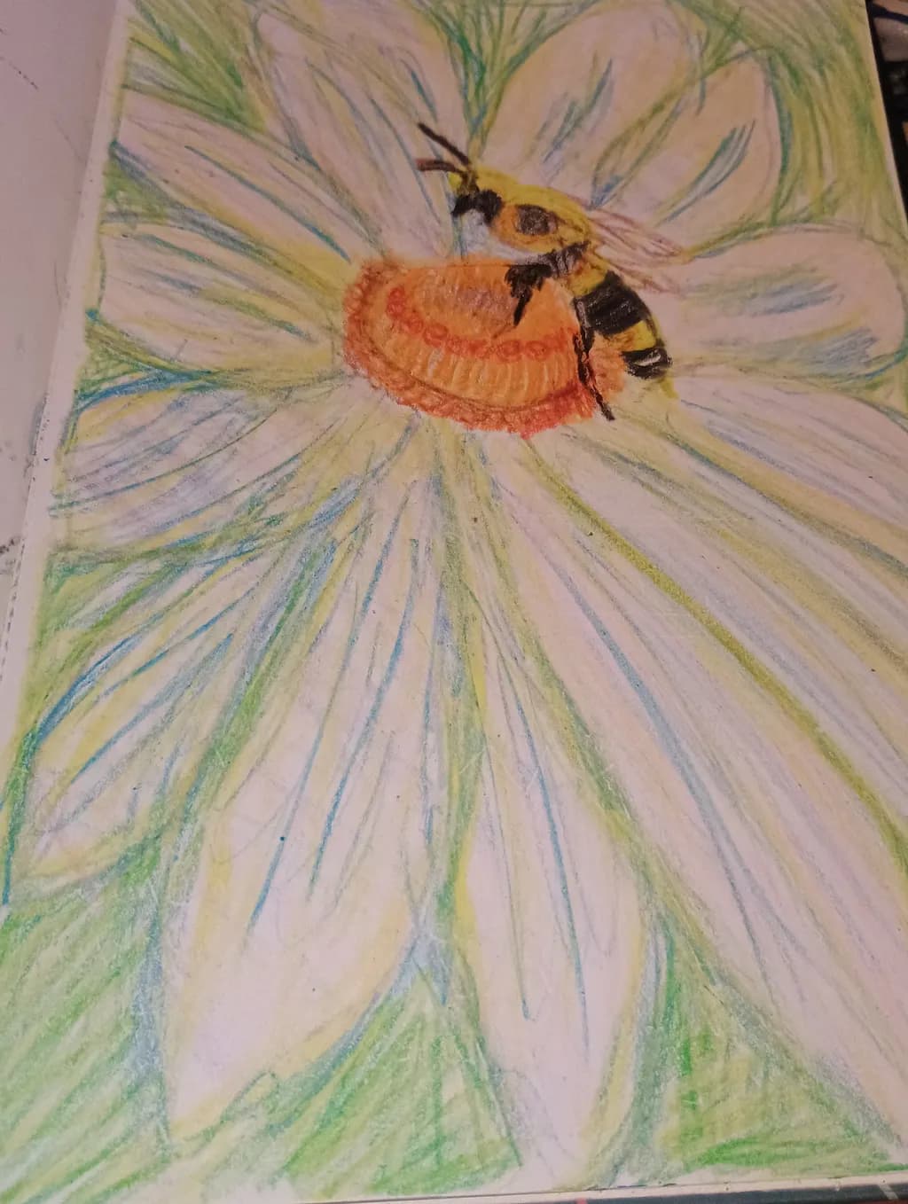 Pollination Focus