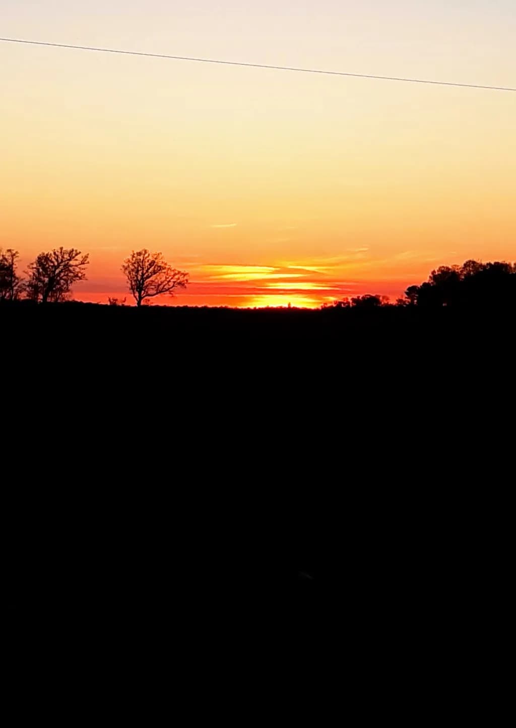 Sunset Silhouettes