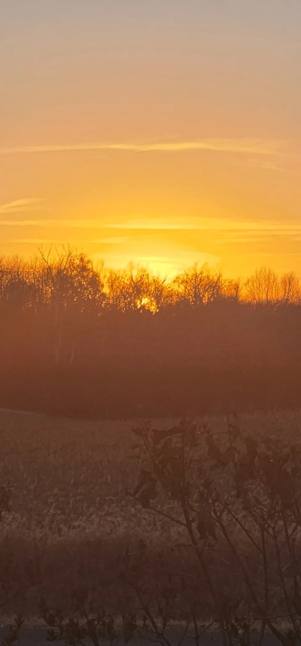 Golden Horizon