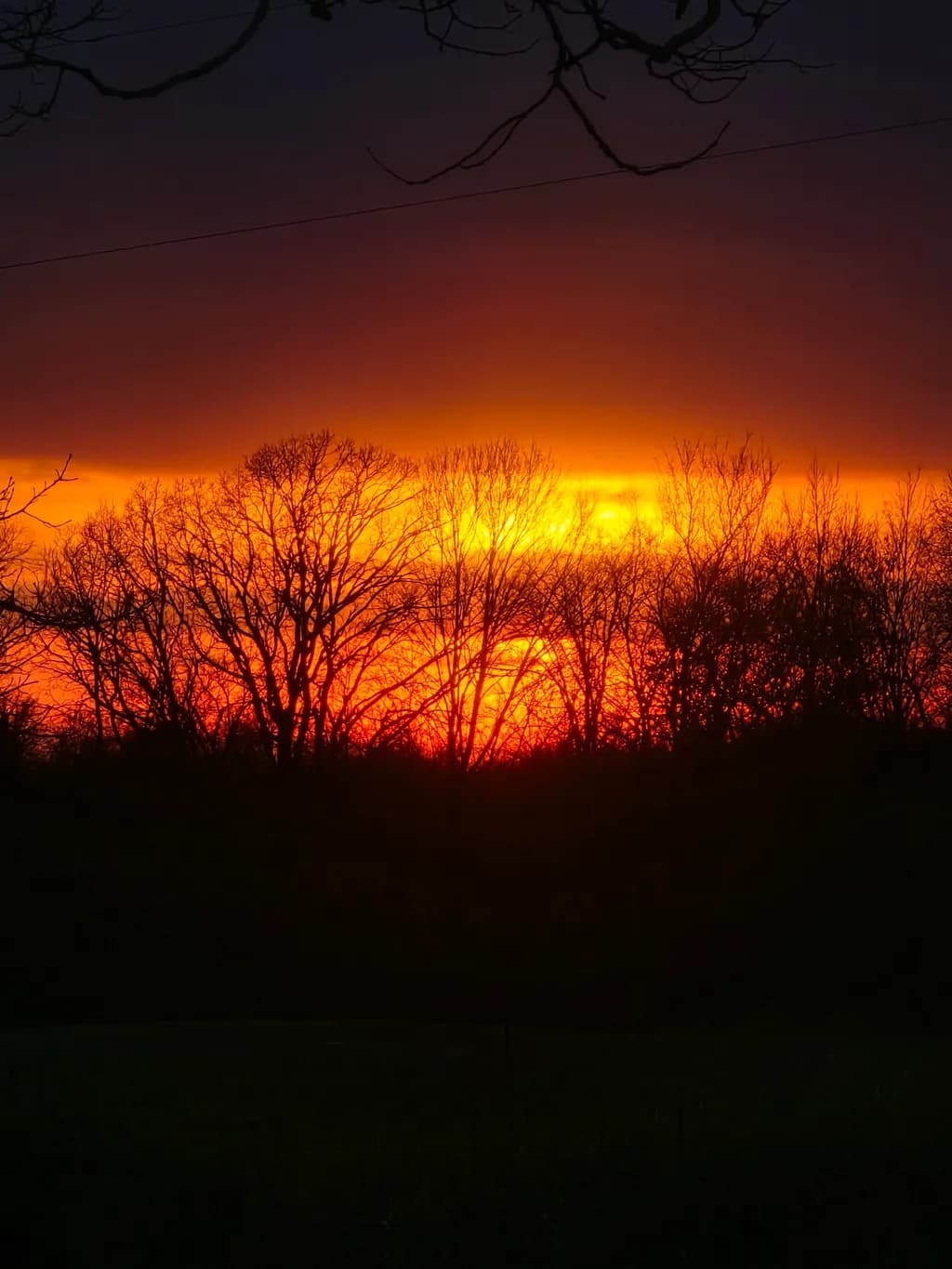 Crimson Horizon
