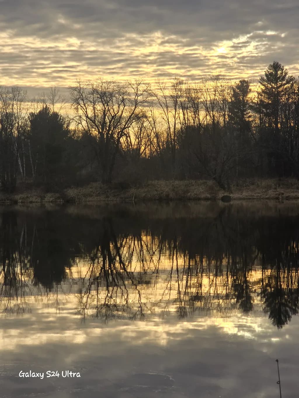 Silent Reflection