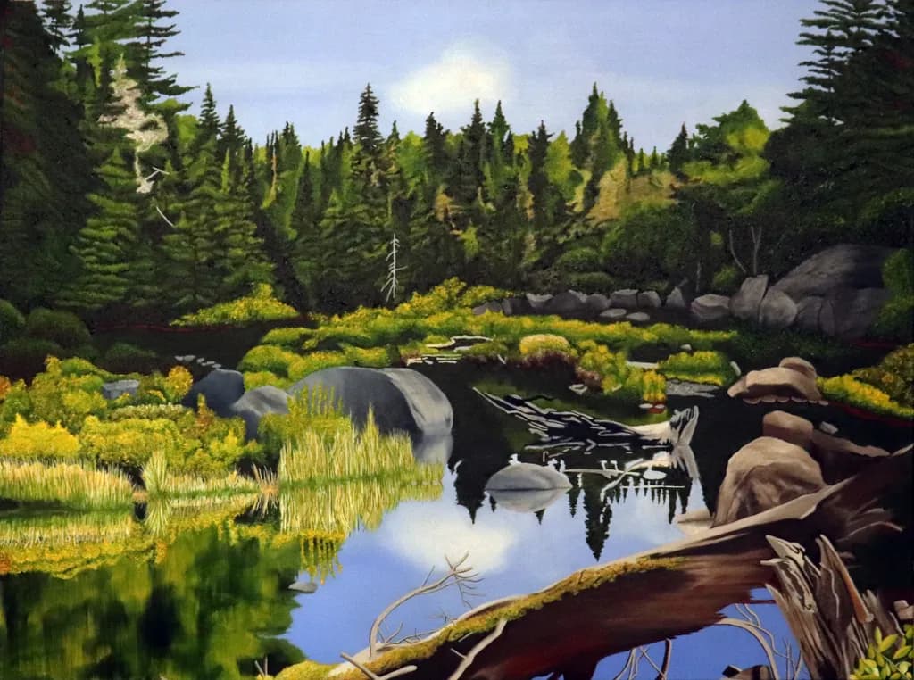 Wetlands Reflection