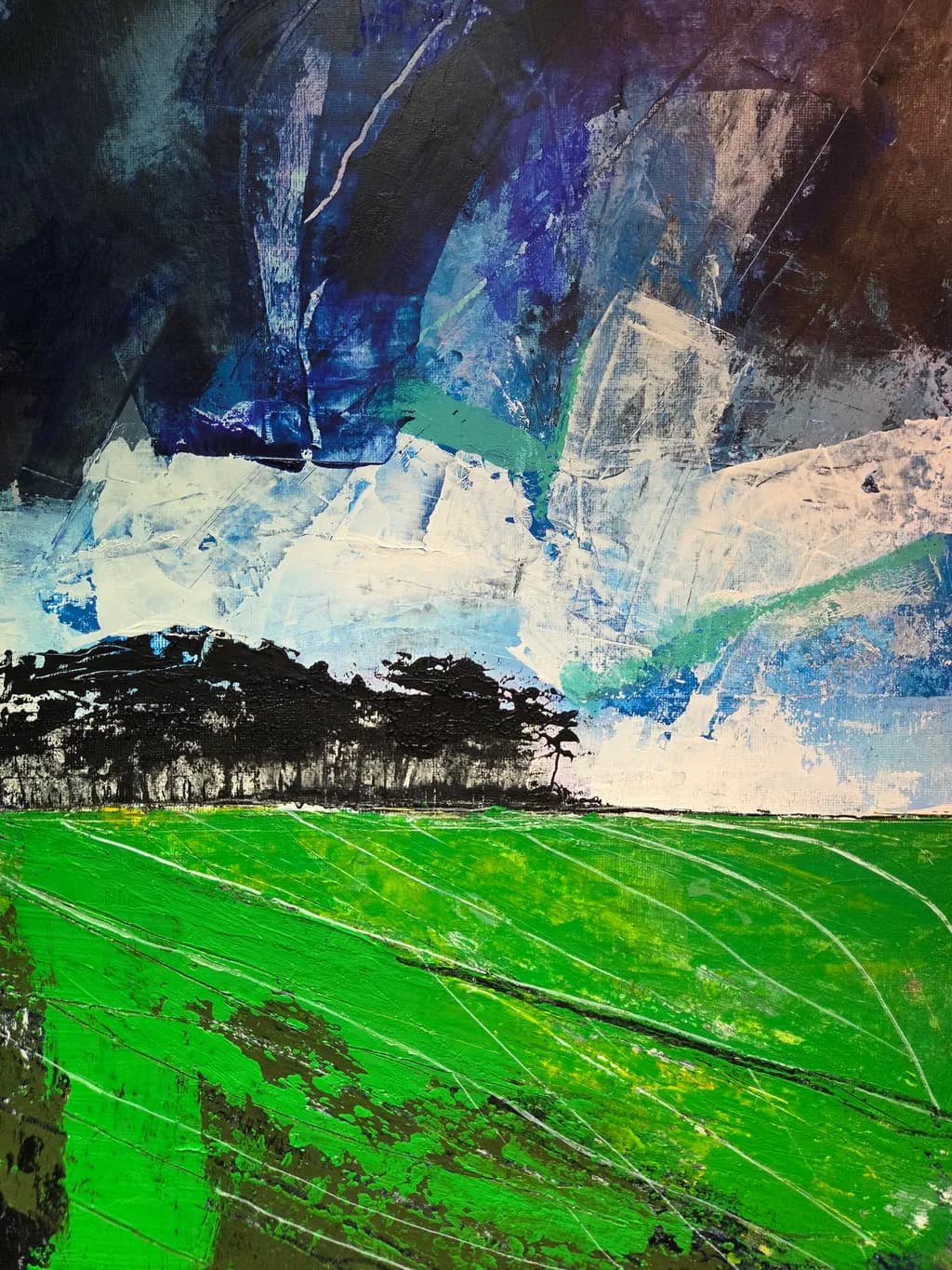 Storm Over Fields