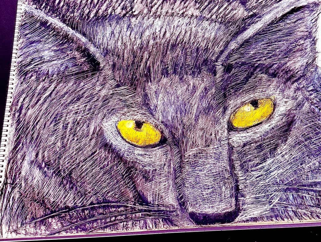 Luminous Gaze